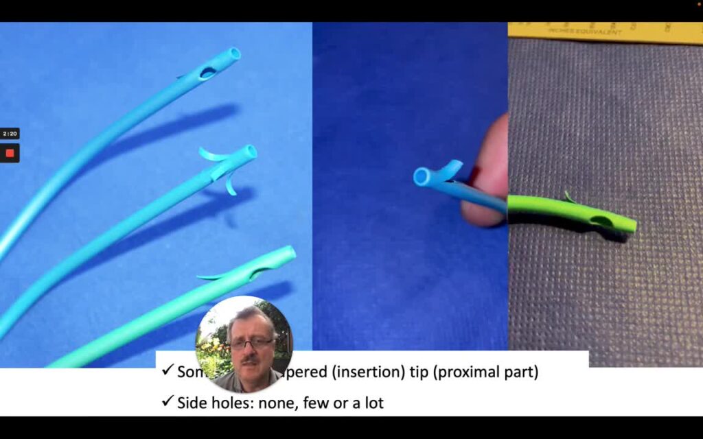 Essential Aspects of Plastic Stents