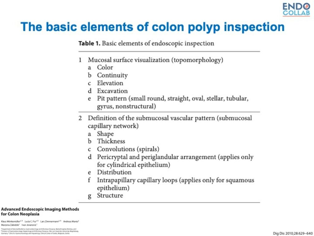 Essential Steps For Colon Polyp Inspection 2 Essential Steps For Colon Polyp Inspection