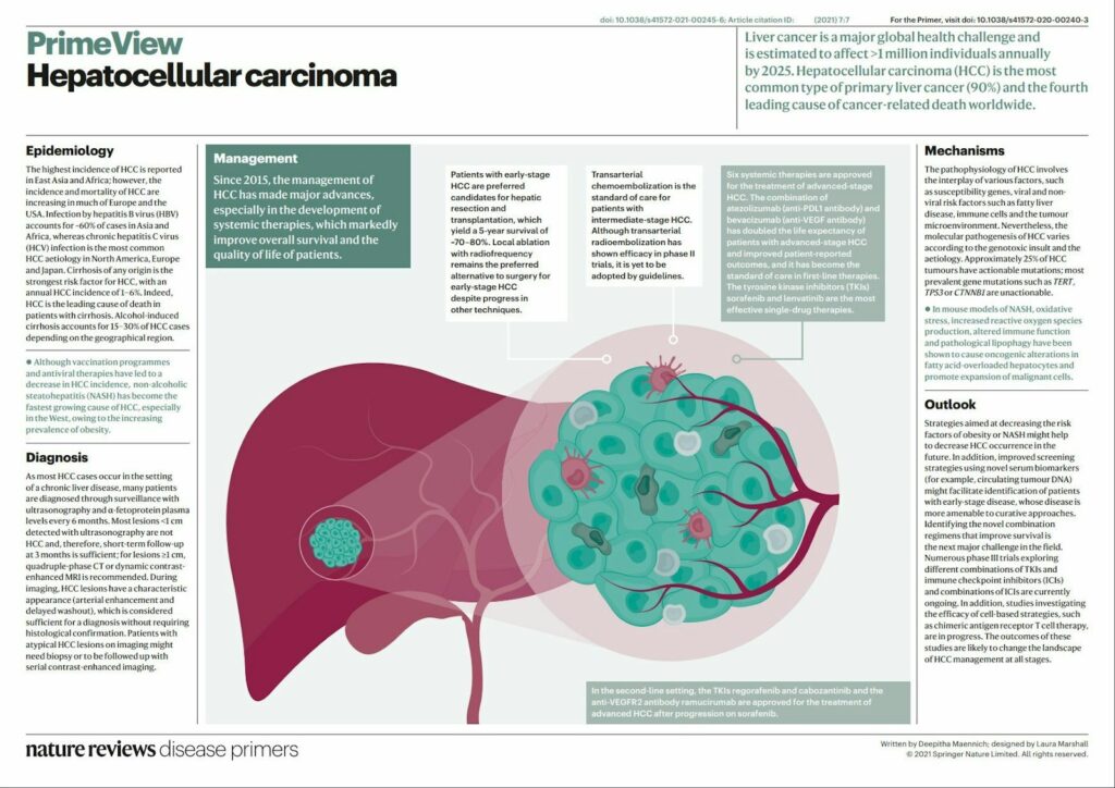 Hepatocellular Carcinoma