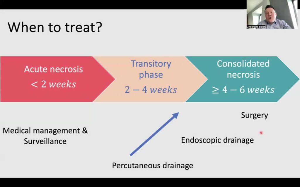 How to Properly Select Patients for Eus-Guided Drainage of Peripancreatic Fluid Collections by Prof. Gheo Balan (Full Lecture)