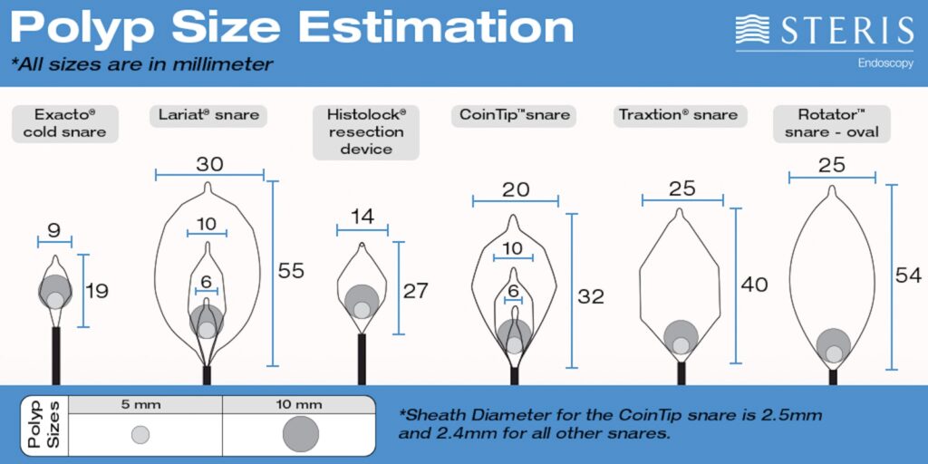 Polyp Size Estimation Using Snares 6 Polyp Size Estimation Using Snares