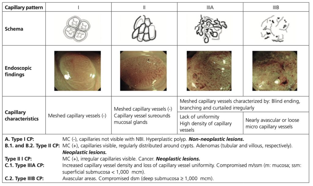 Sano Vascular Pattern Classification
