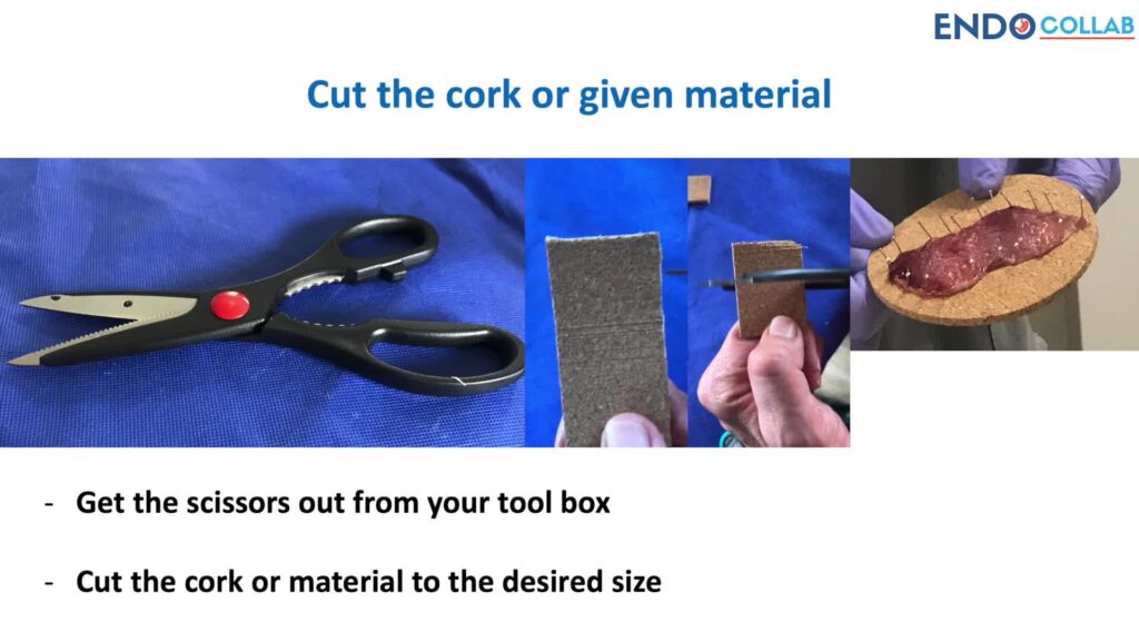 Using Cork to Place Large Biopsy Specimen