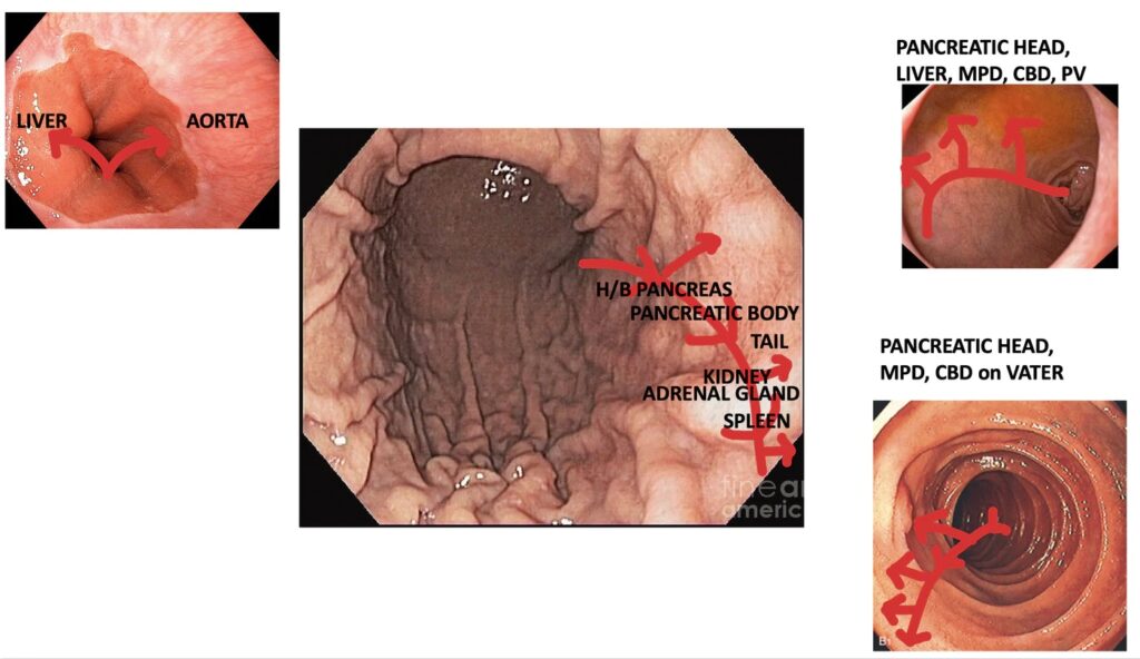 What We Can See In Eus? Main Stations For Eus Assessment. 1 What We Can See In Eus? Main Stations For Eus Assessment.